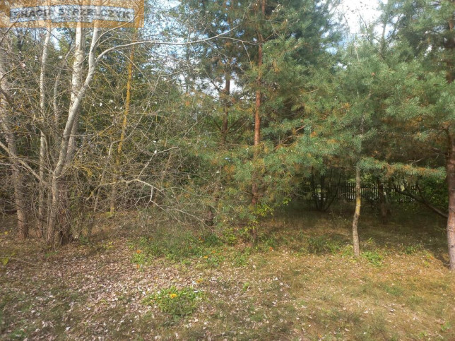Działka Sprzedaż Zambski Kościelne 7